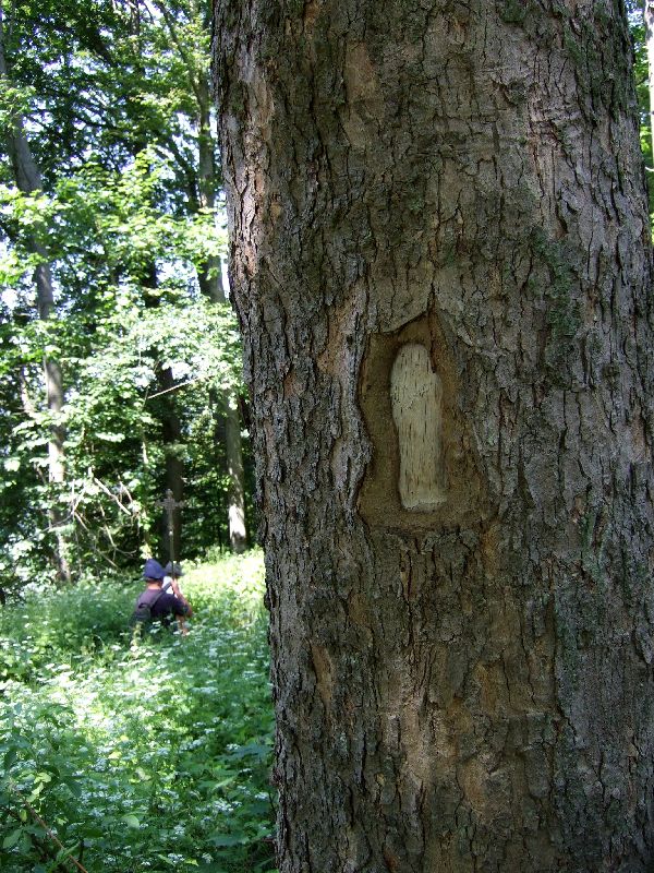 2011- 087.jpg